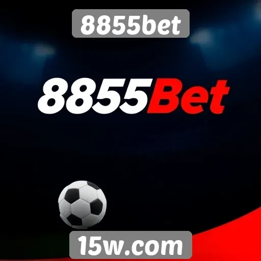 A experiência do usuário no 8855bet